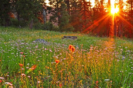 Red Buttes Wilderness
