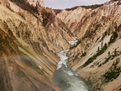 Yellowstone National Forest