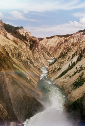 Yellowstone National Forest
