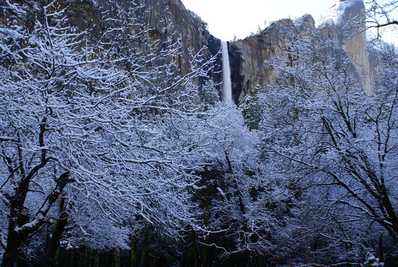 Yosemite National Park
