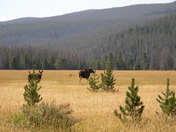 Rocky Mountain National Park