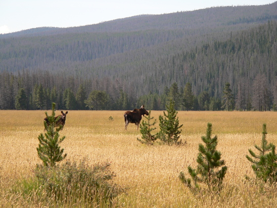 Rocky Mountain National Park
