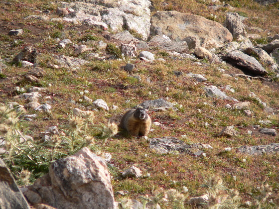 Rocky Mountain National Park