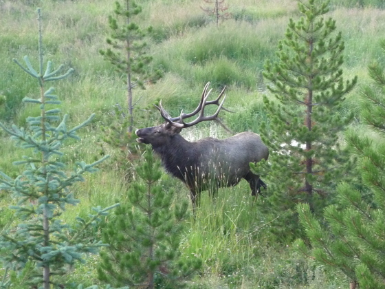 Rocky Mountain National Park
