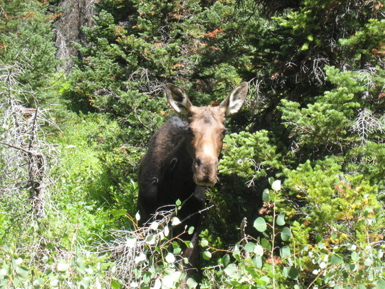 Grand Teton National Park