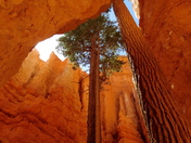 Bryce Canyon National Park