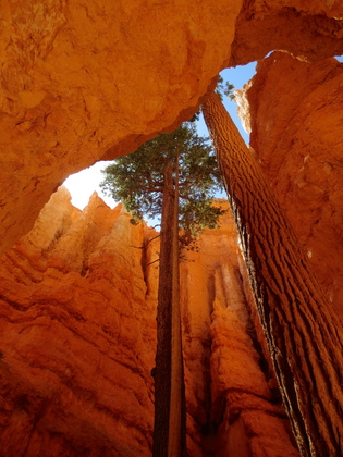 Bryce Canyon National Park