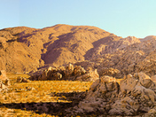 Joshua Tree National Park