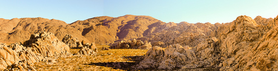 Joshua Tree National Park