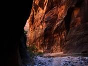 Zion National Park