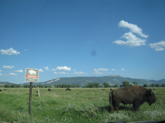 Grand Teton National Park