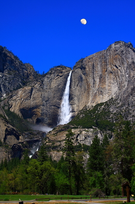 Yosemite National Park