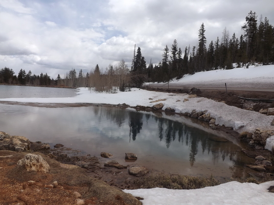 Dixie National Forest