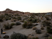 Joshua Tree National Park