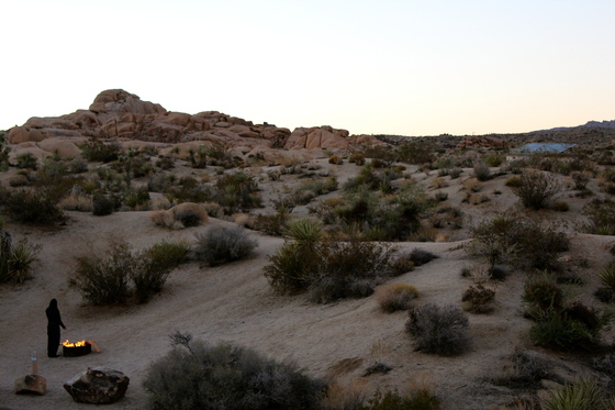 Joshua Tree National Park