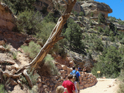 Grand Canyon National Park, South Rim