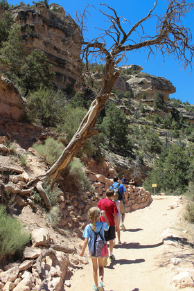 Grand Canyon National Park, South Rim