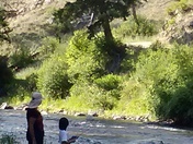 Bitterroot National Forest/Spring Gulch