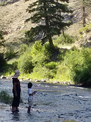 Bitterroot National Forest/Spring Gulch