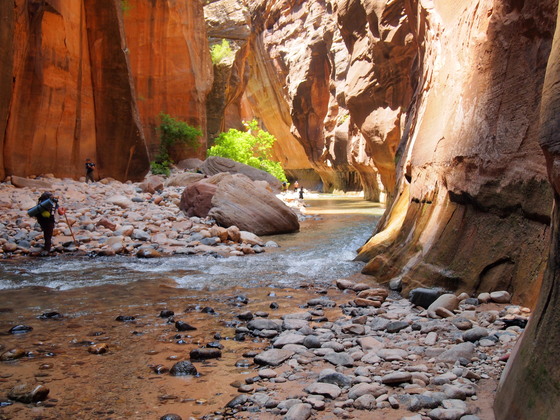 Zion National Park