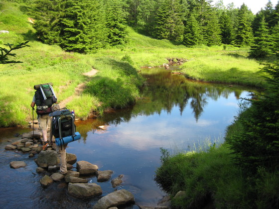 Monongahela National Forest / Dolly Sods
