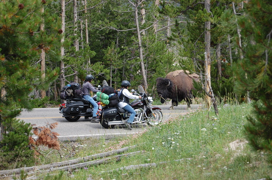 Yellowstone National Park