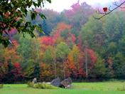 Green Mountains National Forest