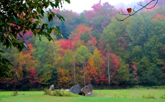 Green Mountains National Forest
