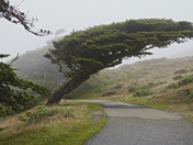 Point Reyes National Sea Shore