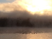 Payette National Forest/Cold Springs CG