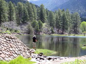 PINE VALLEY RECREATION AREA, UT