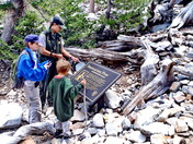 Great Basin National Park, Baker, NV