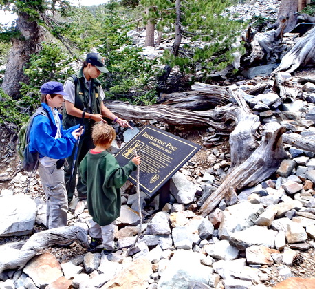Great Basin National Park, Baker, NV