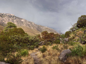Guadalupe Mountains National Park