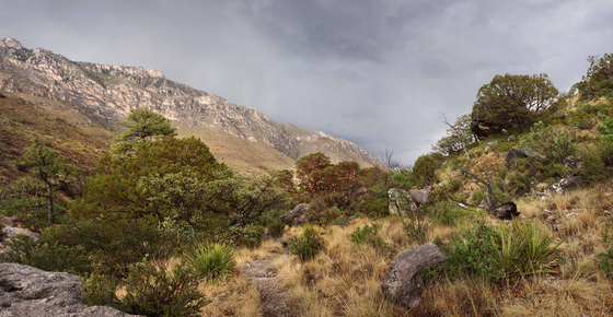 Guadalupe Mountains National Park