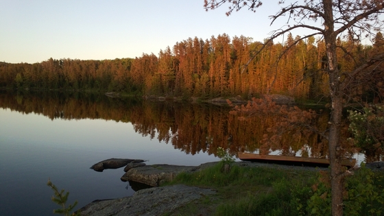 BWCA