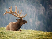 Rocky Mountain National Park