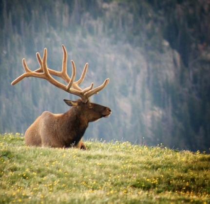Rocky Mountain National Park