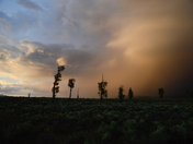Teton National Park