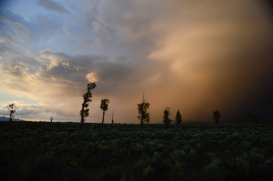 Teton National Park