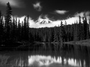Mount Ranier National Park
