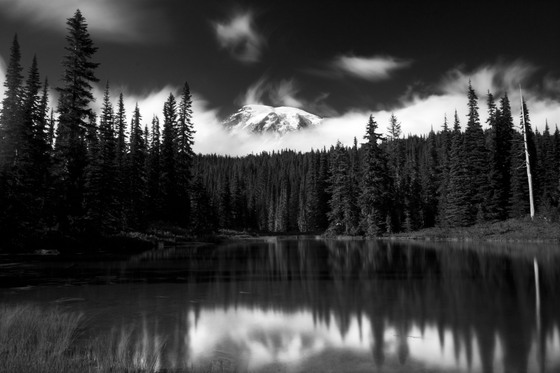 Mount Ranier National Park