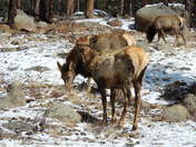 Rocky Mountain National Park