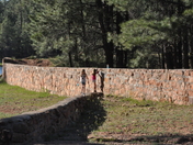 Tonto National Forest Woods Canyon Lake