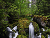 Watson Falls Umpqua National Forest