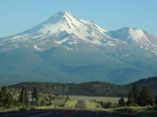 Shasta-Trinity National Forest