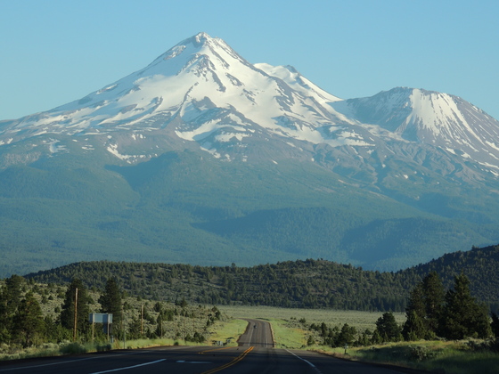 Shasta-Trinity National Forest