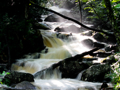 The Great Smoky Mountain National Park