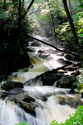 The Great Smoky Mountain National Park