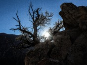 San Bernardino Mountains
